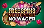 Free Spins No Deposit No Wager NZ 2026