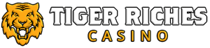 casino Tiger Riches Casino logo