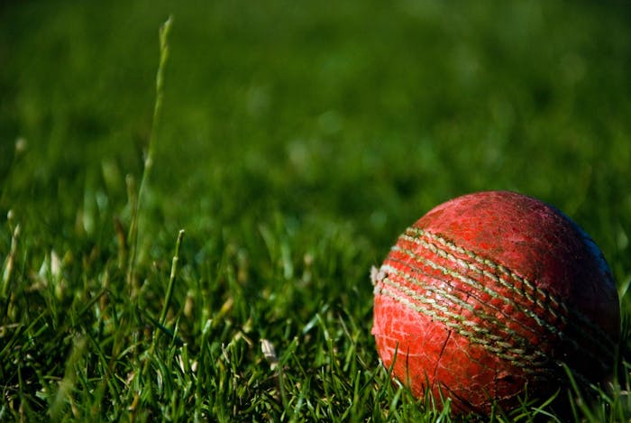 How we rate the best cricket sites