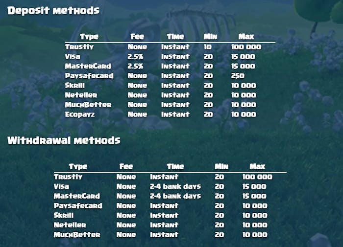 duelz casino payment options