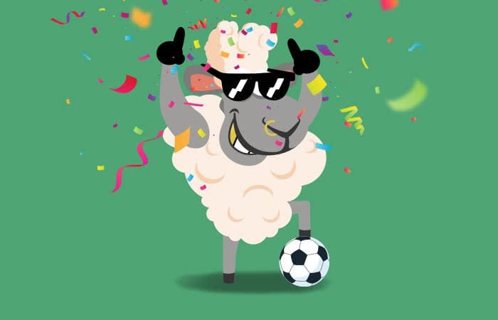 nz soccer sheep