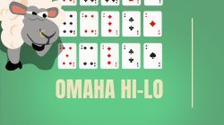 How to play Omaha hi lo poker