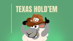 How to play Texas hold'em guide