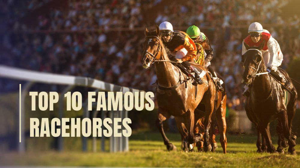 A list of the top 10 most famous racehorses of all time